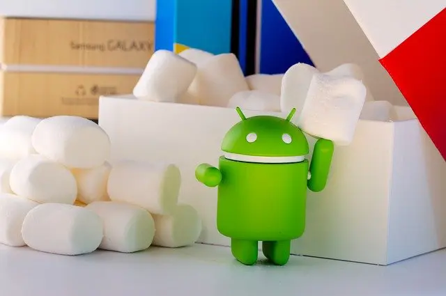 Android Versi Marshmallow